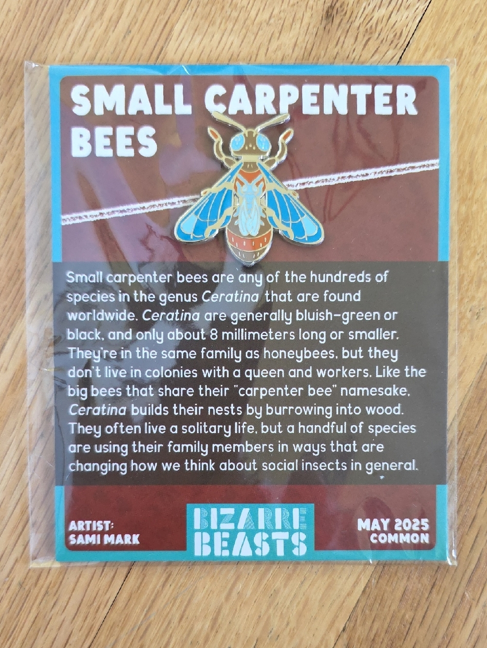 Bizarre Beasts Enamel Pin Common Small Carpenter Bees May 2023